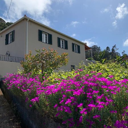 Vila Terra Batista House Porto Da Cruz Exteriér fotografie